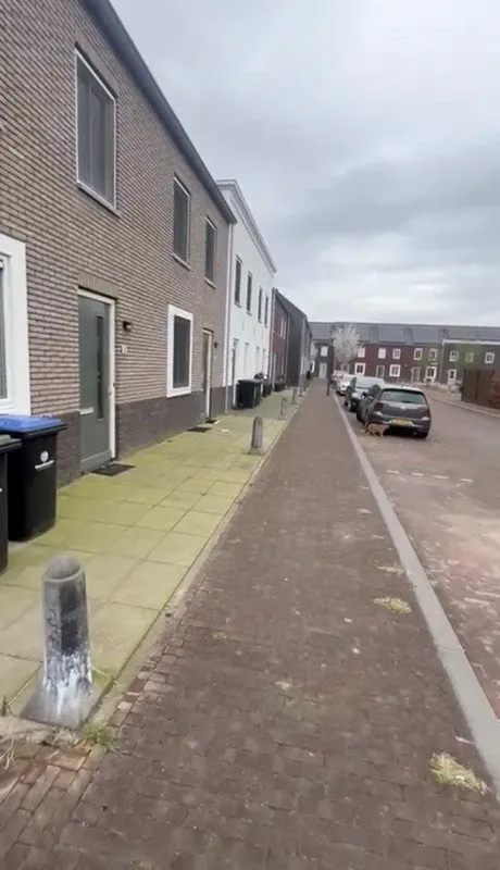 Binnendoorstraat - Hoef en Haag