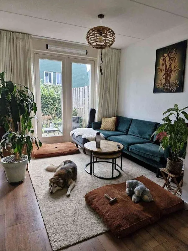 Daalhuizerweg - Velp