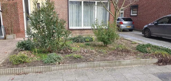 Willem I straat - Belfeld